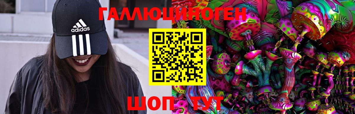 Краснознаменск  Галлюциногенные грибы Psilocybe  Галлюциногенные грибы мицелий  Вход с VPN 